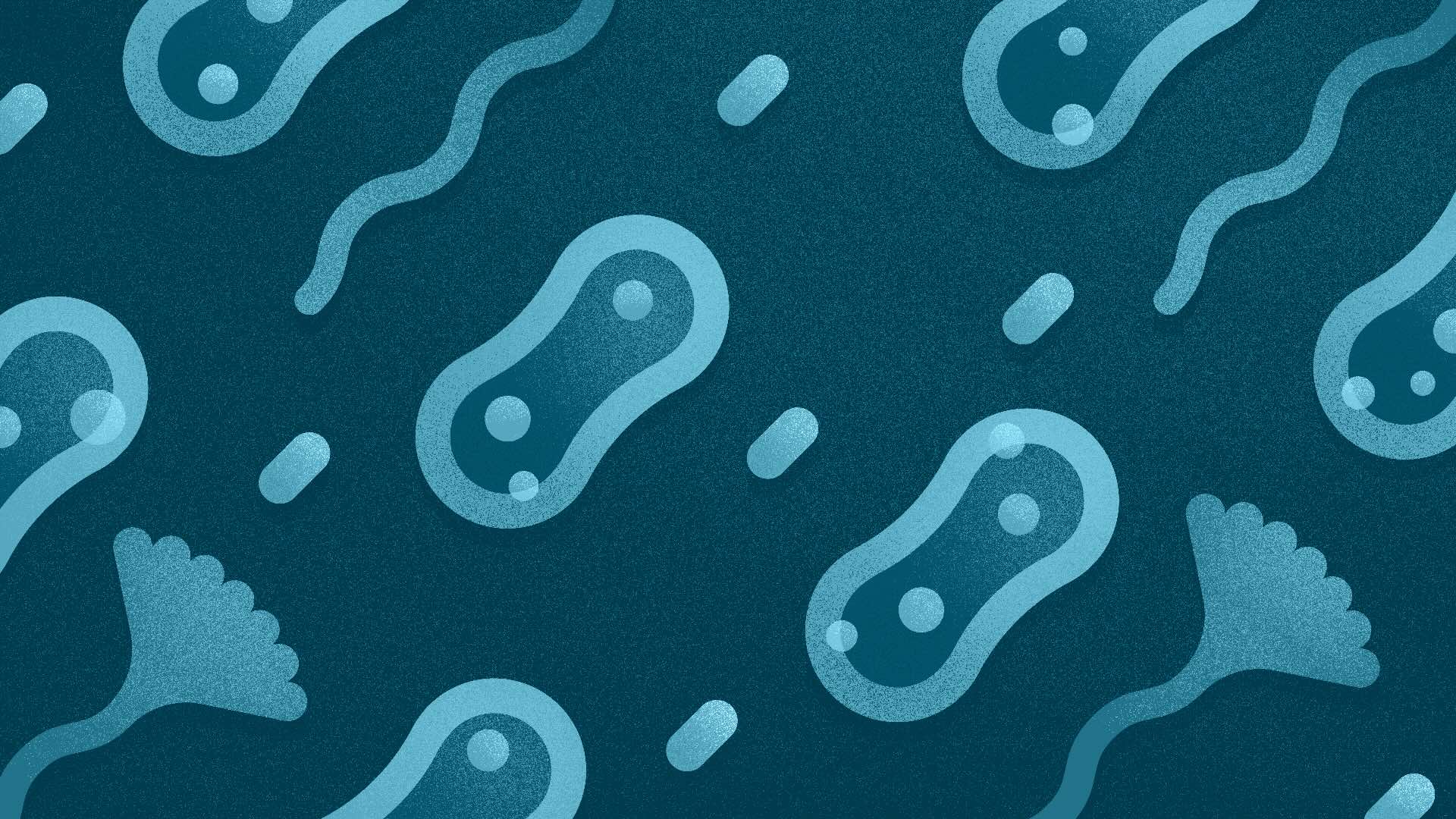 Footer background
